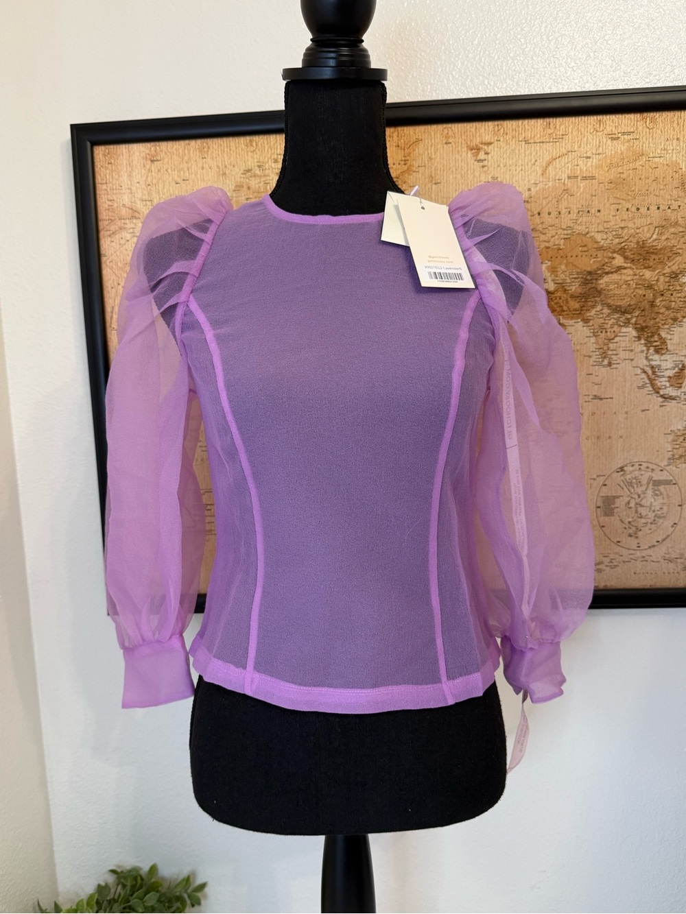 Choosy sheer puff sleeve top size 6
